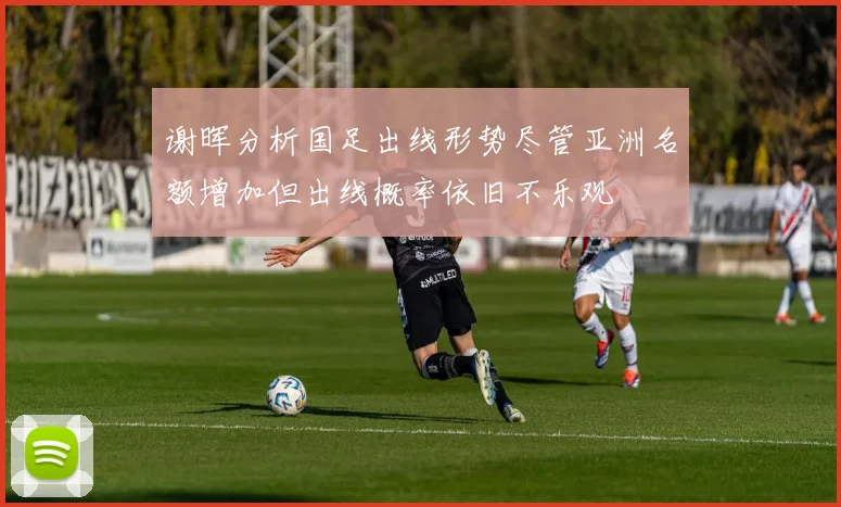 谢晖分析国足出线形势尽管亚洲名额增加但出线概率依旧不乐观
