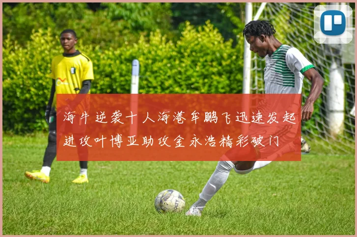 海牛逆袭十人海港牟鹏飞迅速发起进攻叶博亚助攻金永浩精彩破门