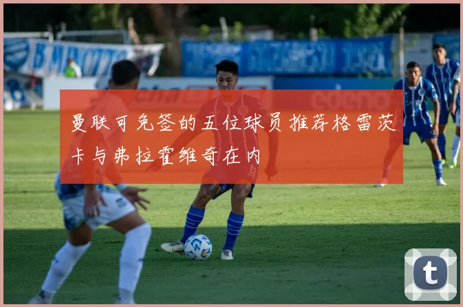 曼联可免签的五位球员推荐格雷茨卡与弗拉霍维奇在内